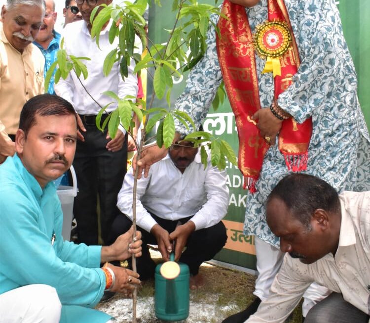 संस्कृति मंत्री महाराज ने लोकपर्व हरेला पर किया वृक्षारोपण