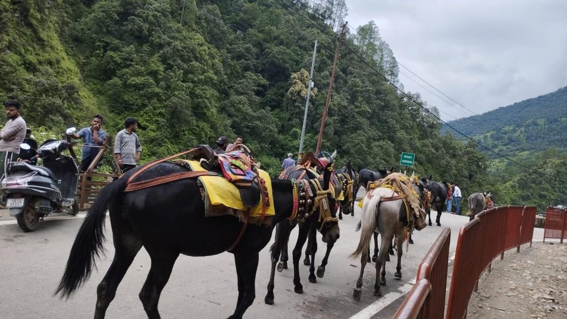 दूसरे चरण की केदारनाथ यात्रा को सफलतापूर्वक संचालित कराने के लिए तेज गति से किए जा रहे यात्रा मार्ग में निर्माण एवं मरम्मत कार्य 