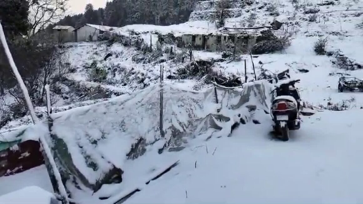 उत्तराखंड के उच्च हिमालयी क्षेत्रों में हुई बर्फबारी